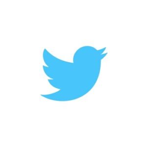 Buy Fresh Twitter pva Accounts